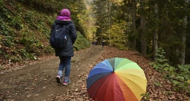 Gümüşhane Örümcek Ormanları Nefes Kesiyor