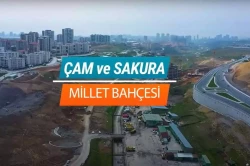 Çam ve Sakura Millet Bahçesi Geliyor, Nereye mi?