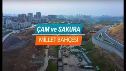 Çam ve Sakura Millet Bahçesi Geliyor, Nereye mi?