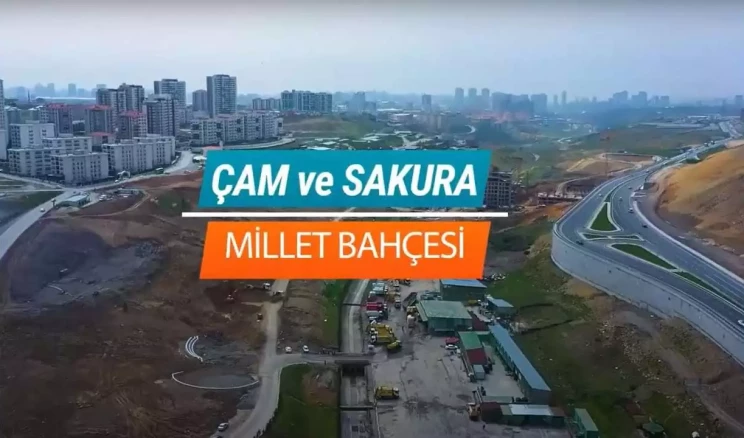 Çam ve Sakura Millet Bahçesi Geliyor, Nereye mi?