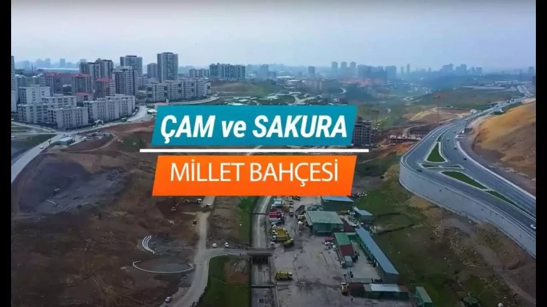 Çam ve Sakura Millet Bahçesi Geliyor, Nereye mi?